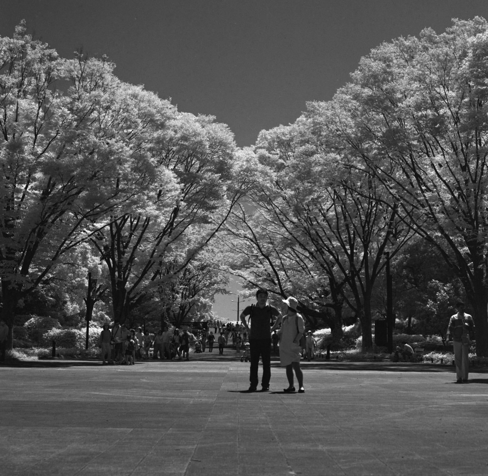 d0072001_21440373.jpg