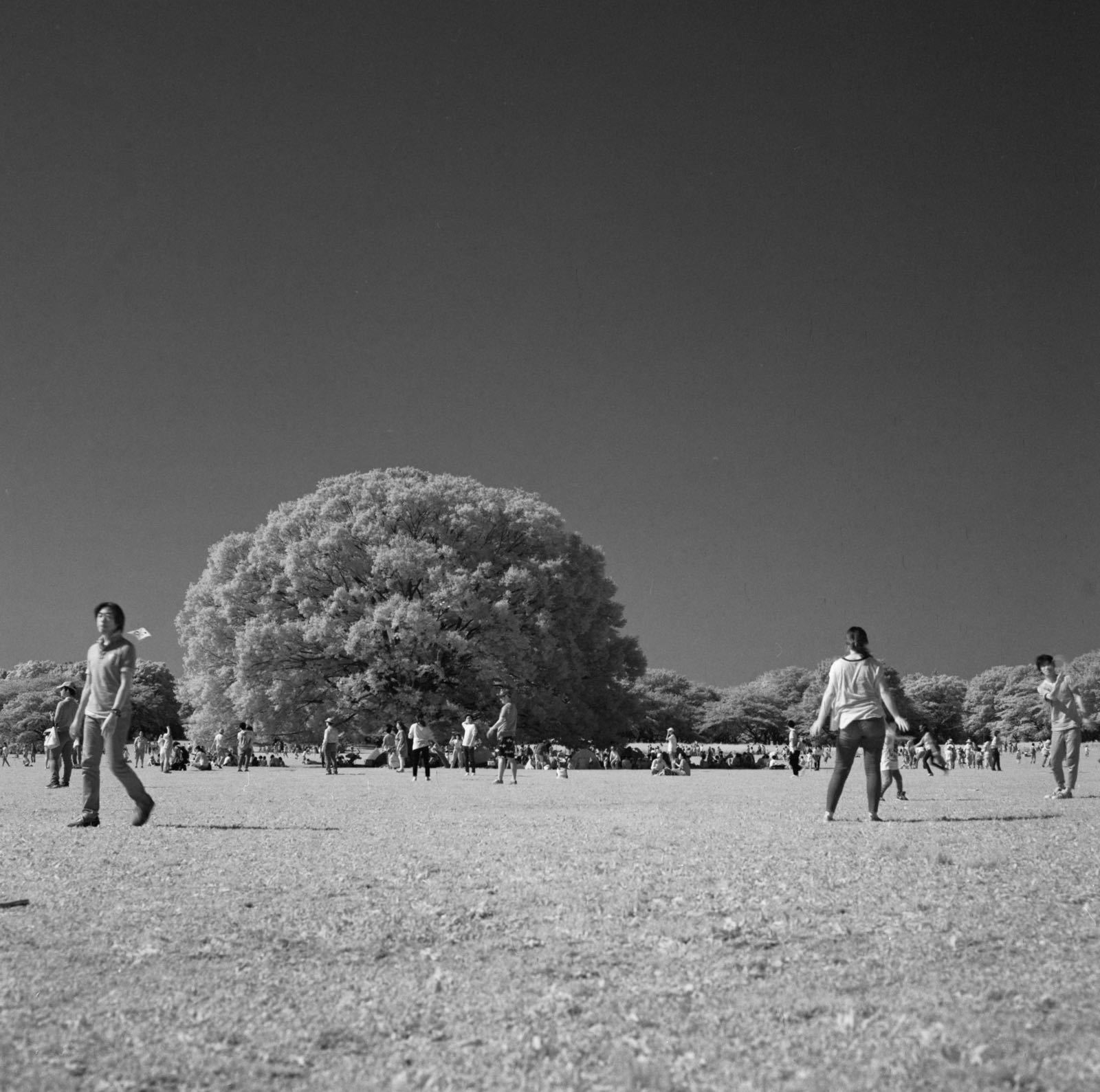 d0072001_21441381.jpg