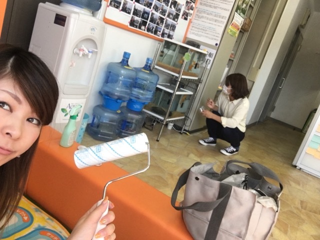 5月12日(土)☆TOMMYアウトレット☆しまあゆブログヾ(・ω・ ) 新在続々入庫中☆自社ローン・ローンサポートはTOMMYまで♪_b0127002_17060629.jpg