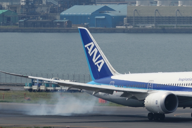gw最終日に満席の飛行機が着陸時にあげる白煙 羽田空港 旅プラスの日記 gw最終日に満席の飛行機が着陸時にあげる白煙 羽田空港 旅プラスの日記
