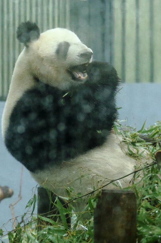 b0291402_13131553.jpg