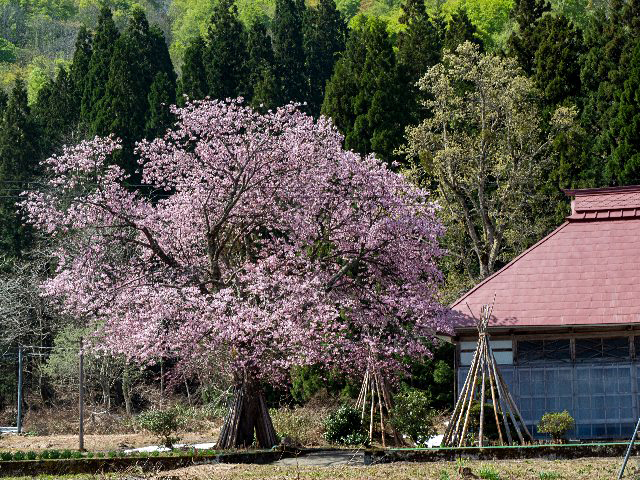 c0008502_20102777.jpg