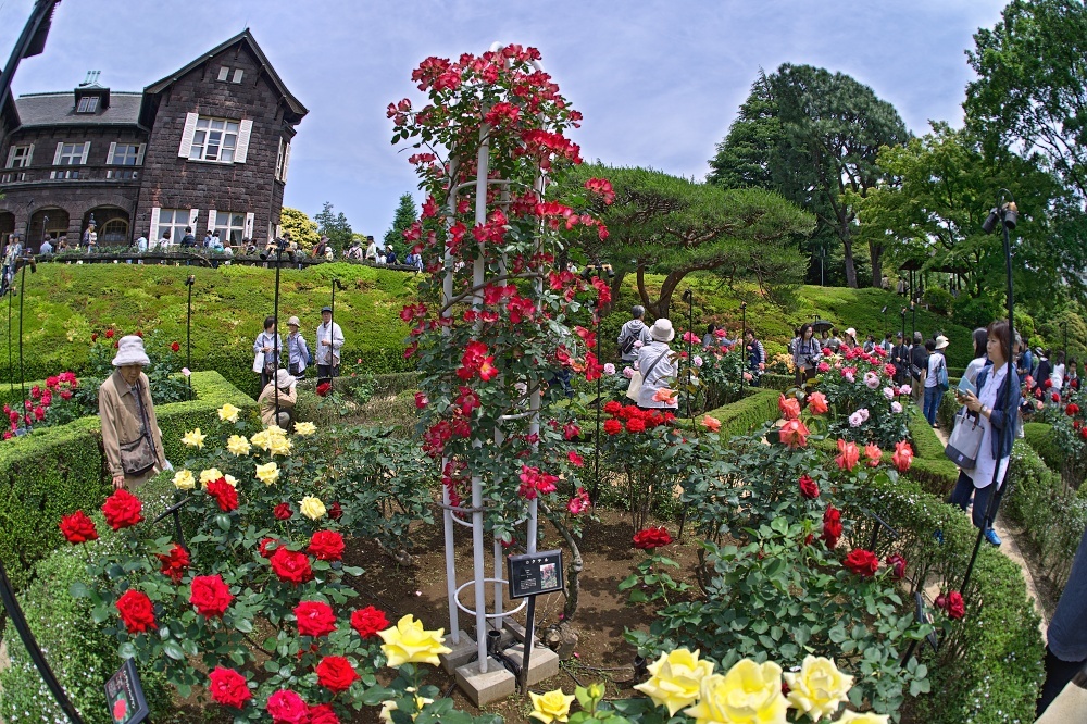d0376905_22085595.jpg