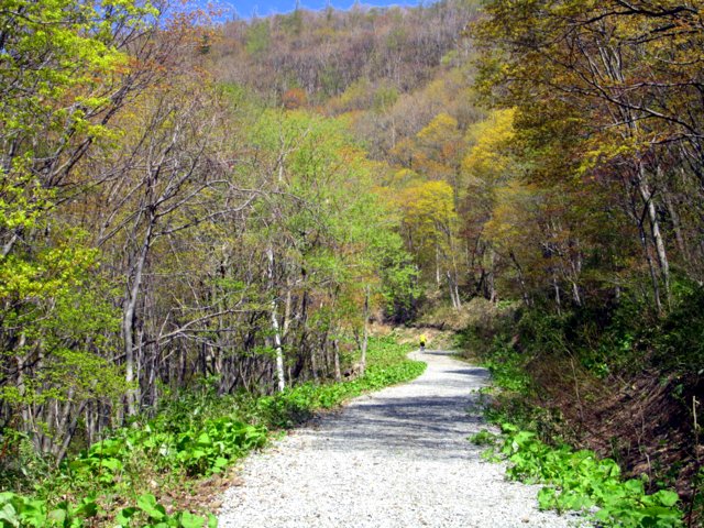 a0345007_16415710.jpg