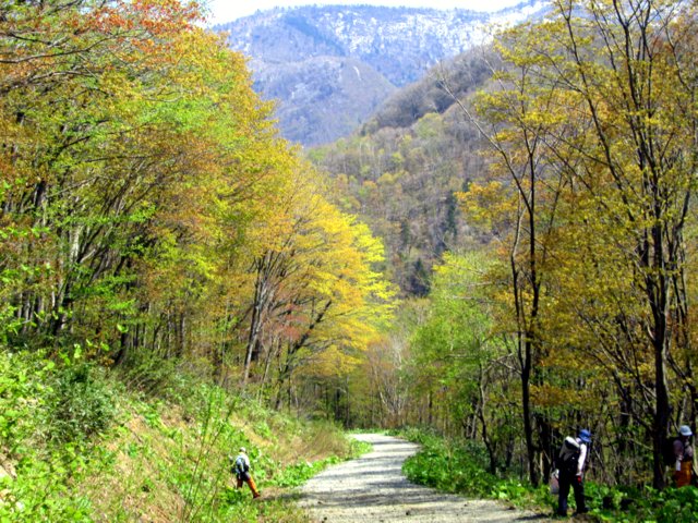 a0345007_16503577.jpg