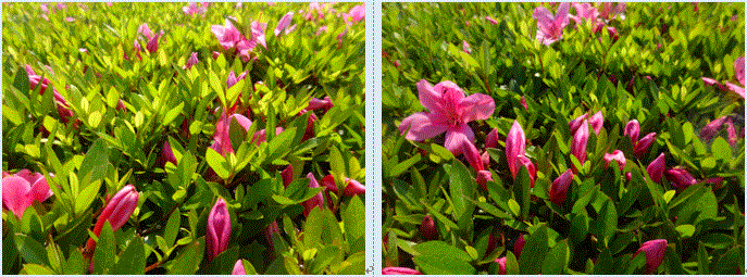 f0231709_19023541.gif