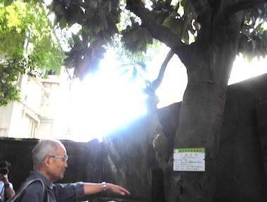 a0019212_21221737.jpeg