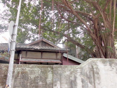 a0019212_21222344.jpeg