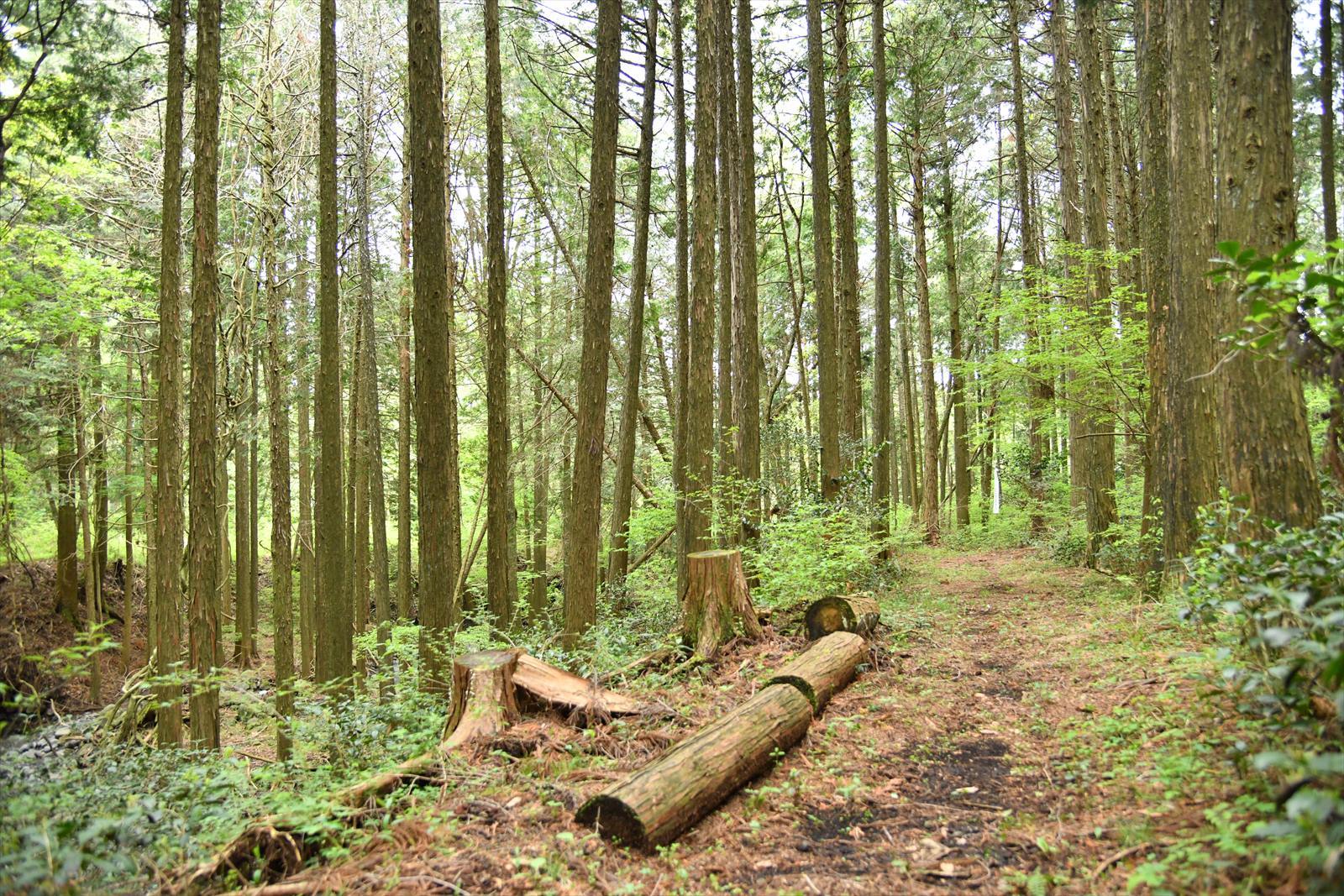 c0337813_16230232.jpg