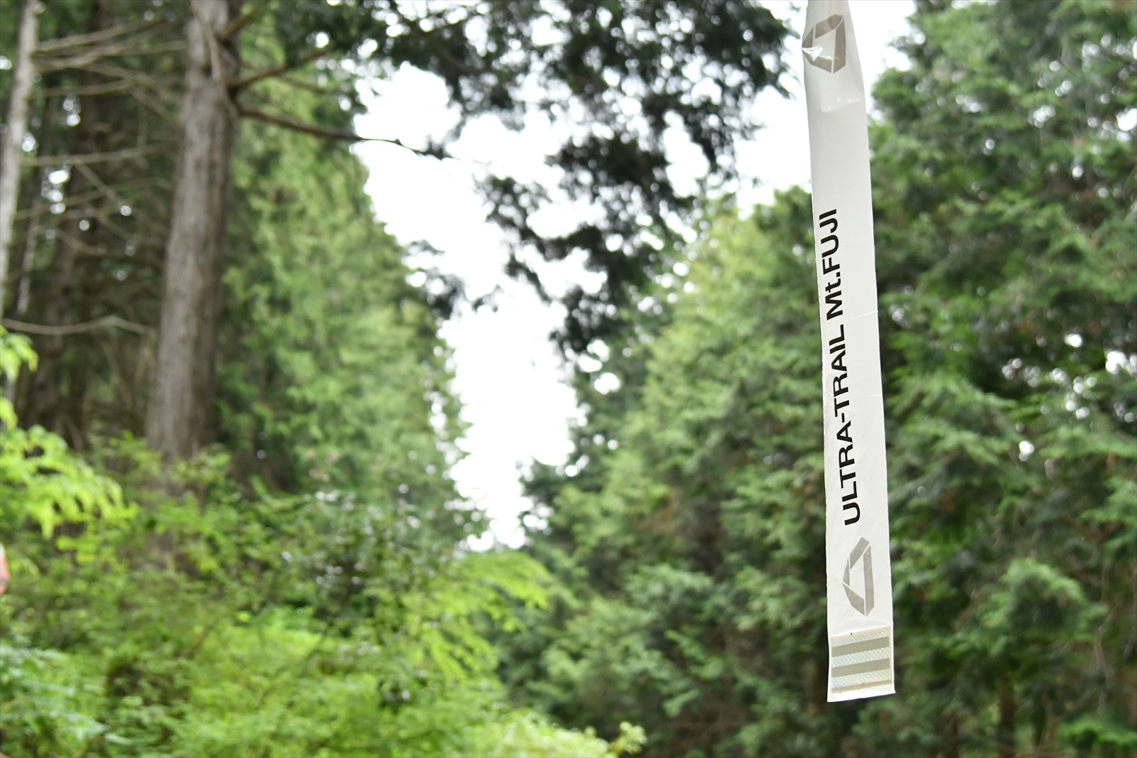 c0337813_16233732.jpg