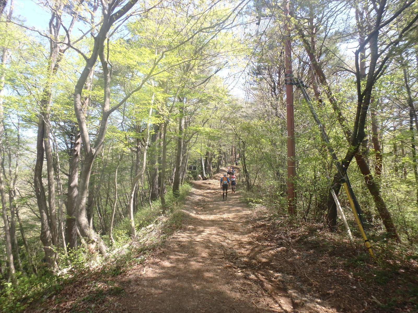 UTMF2018　ウルトラトレイル・マウントフジ2018（当日編　Ａ４精進湖民宿村からゴール（河口湖大池公園）まで）_c0337813_16234662.jpg