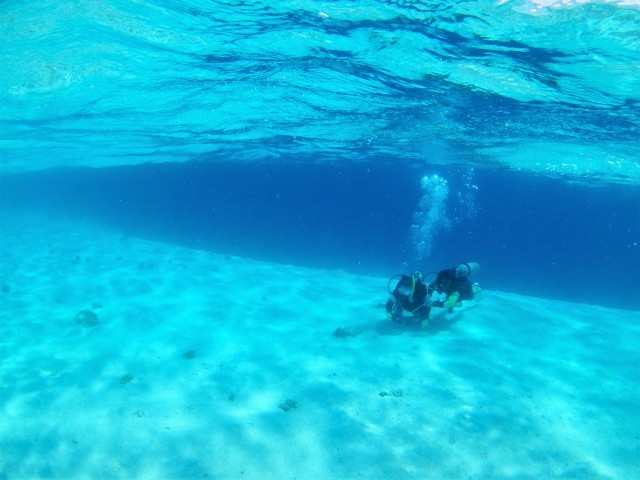 浅場がおススメ_c0211615_18503812.jpg