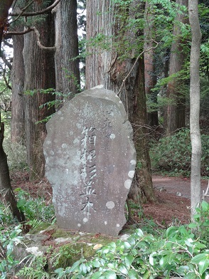 f0000521_09275823.jpg