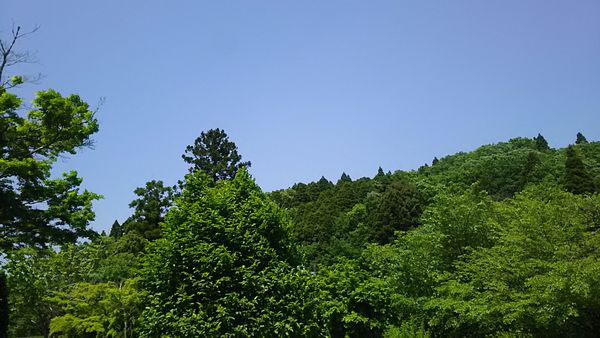 e0047322_2337335.jpg