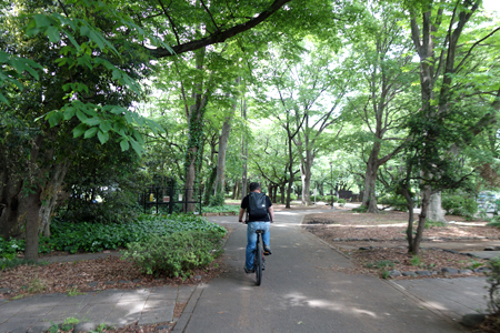 お昼は砧公園でマックパーティ_f0097523_18142276.jpg