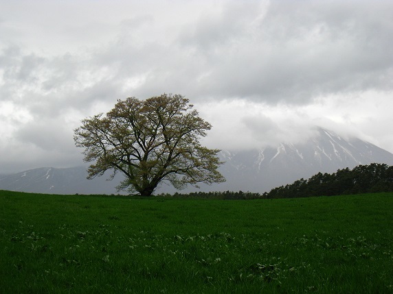 a0363825_07224555.jpg