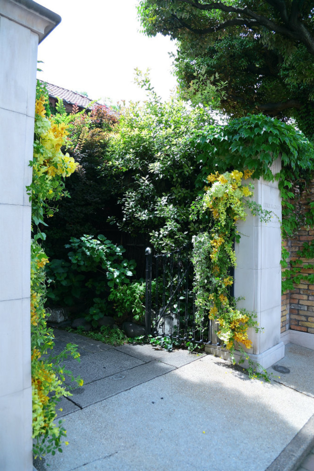 初夏の装花 3種の蘭の門柱装花 シェ松尾松濤レストラン様のウェディングへ_a0042928_21092552.jpg