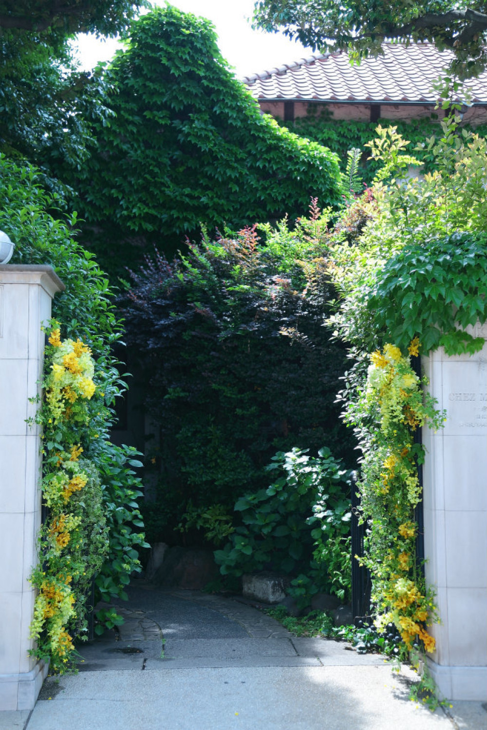 初夏の装花 3種の蘭の門柱装花 シェ松尾松濤レストラン様のウェディングへ_a0042928_21092688.jpg