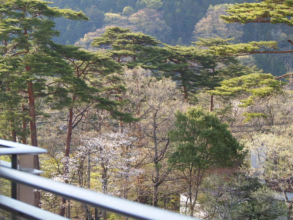 a0214329_8563350.jpg