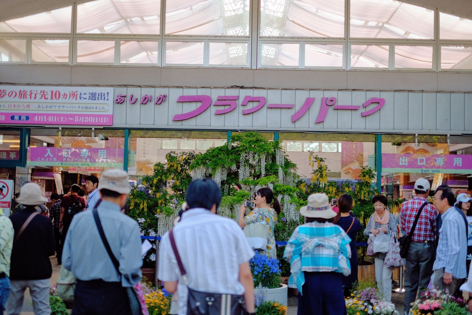 バスツアー2 あしかがフラワーパークで花三昧 Utamaru S Blog
