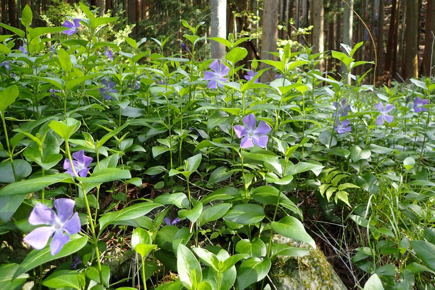 f0348933_22473385.jpg