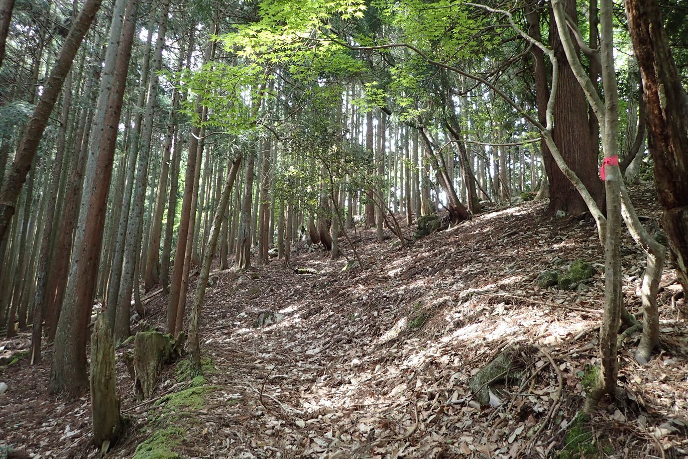 f0348933_22484809.jpg