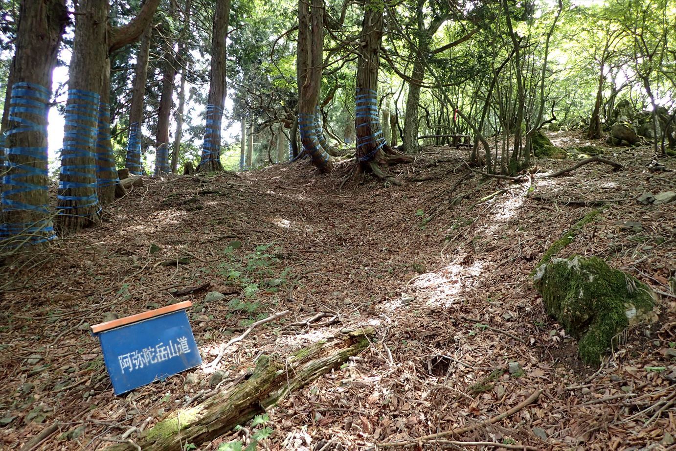 f0348933_22505892.jpg