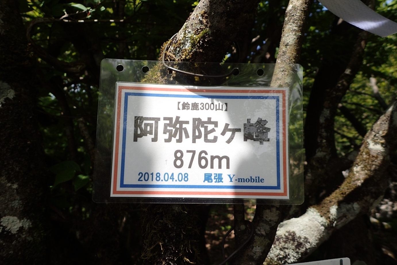 f0348933_22580790.jpg