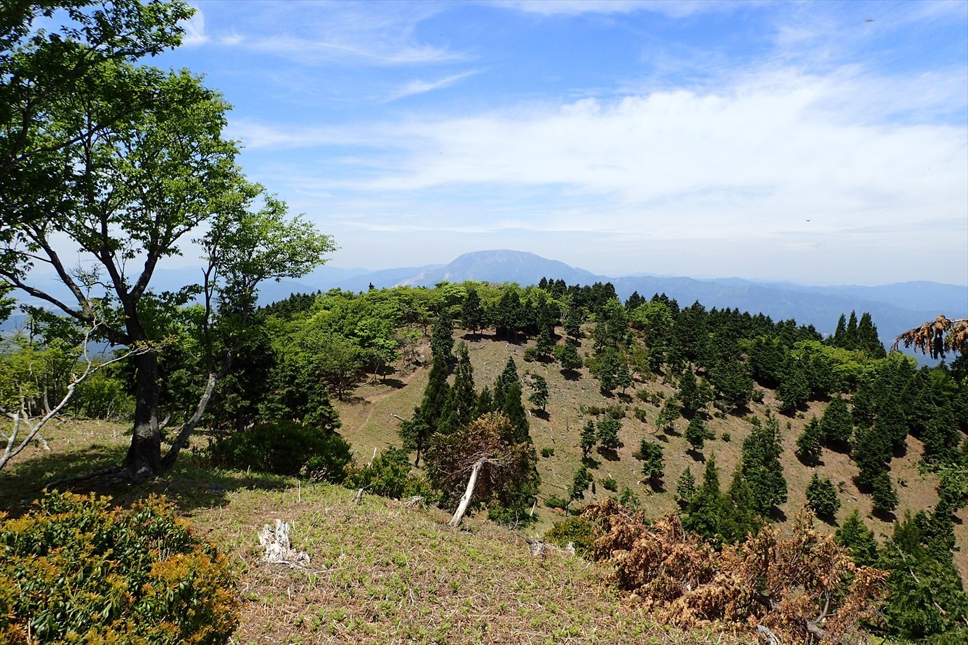 f0348933_23003676.jpg