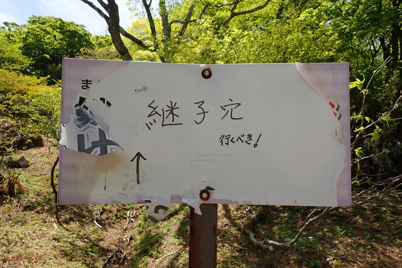f0348933_23021143.jpg