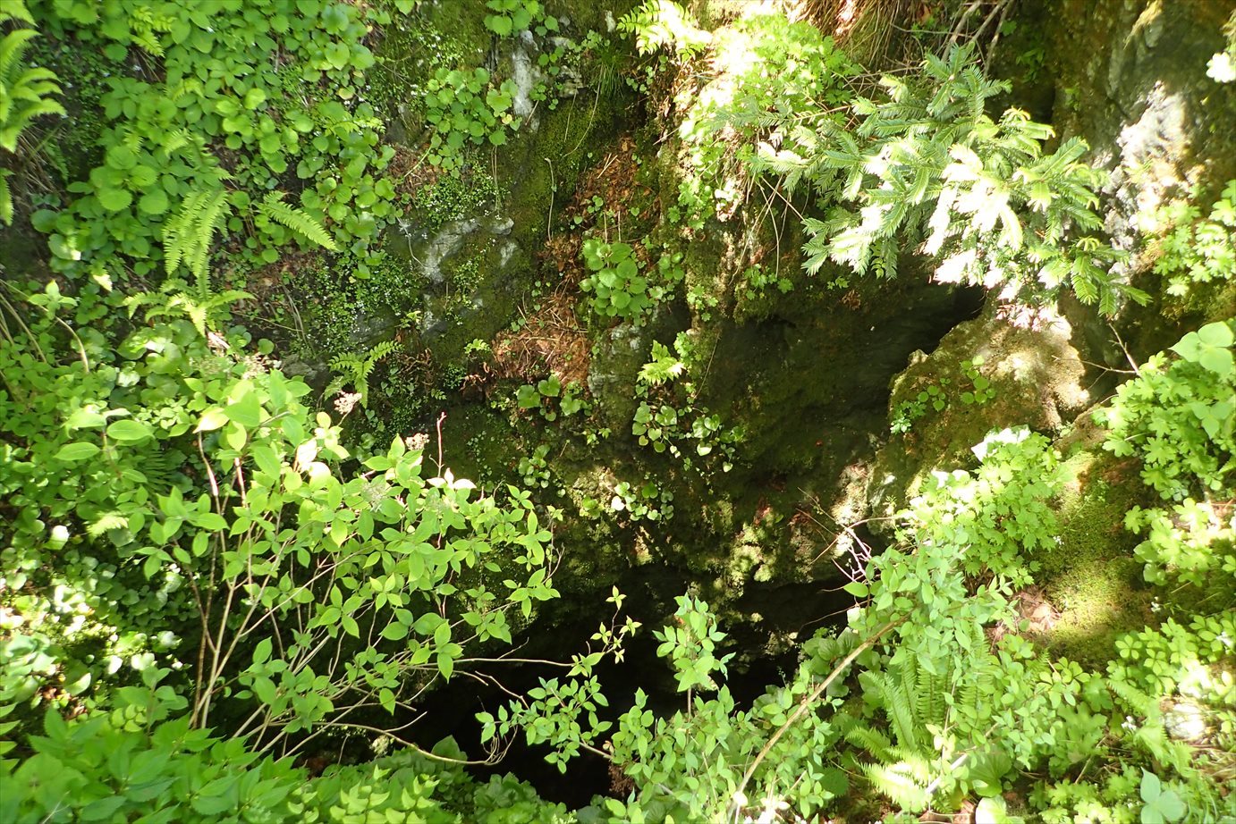 f0348933_23031010.jpg