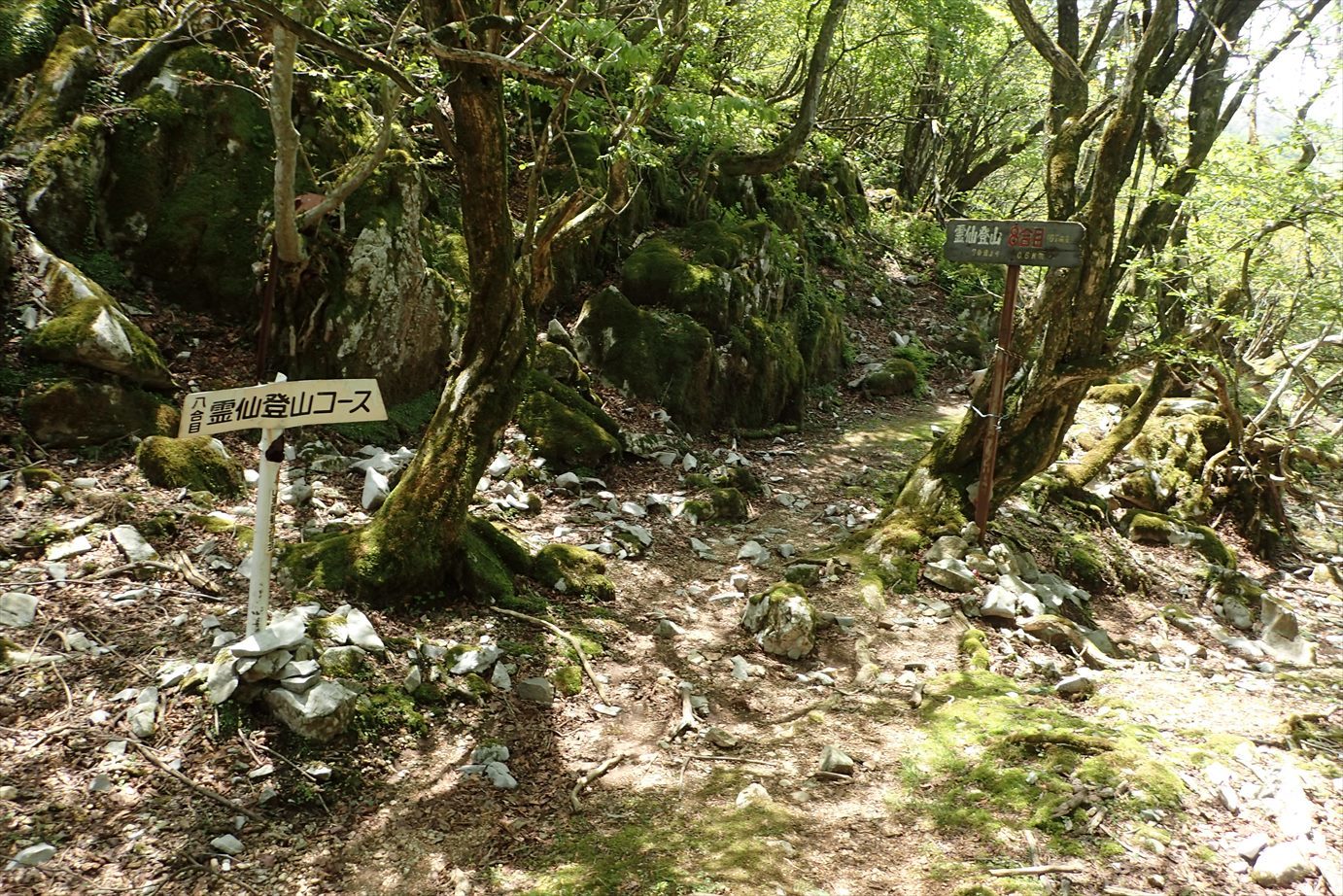 f0348933_23052419.jpg