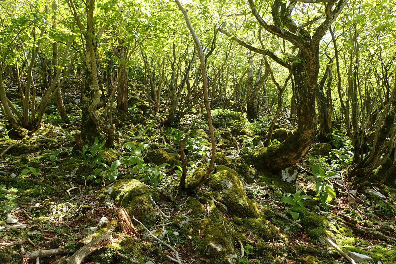 f0348933_23054396.jpg