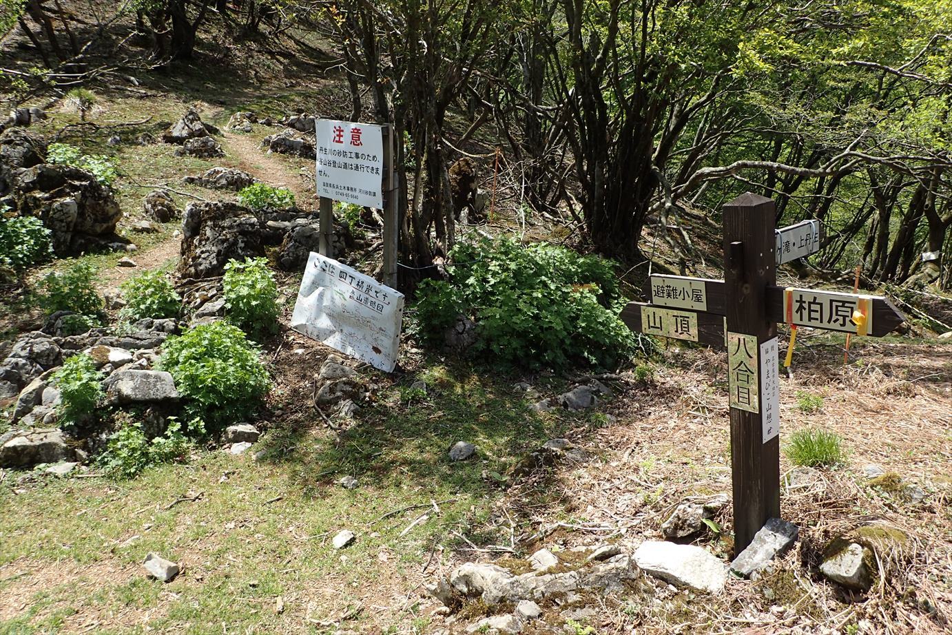 f0348933_23062012.jpg