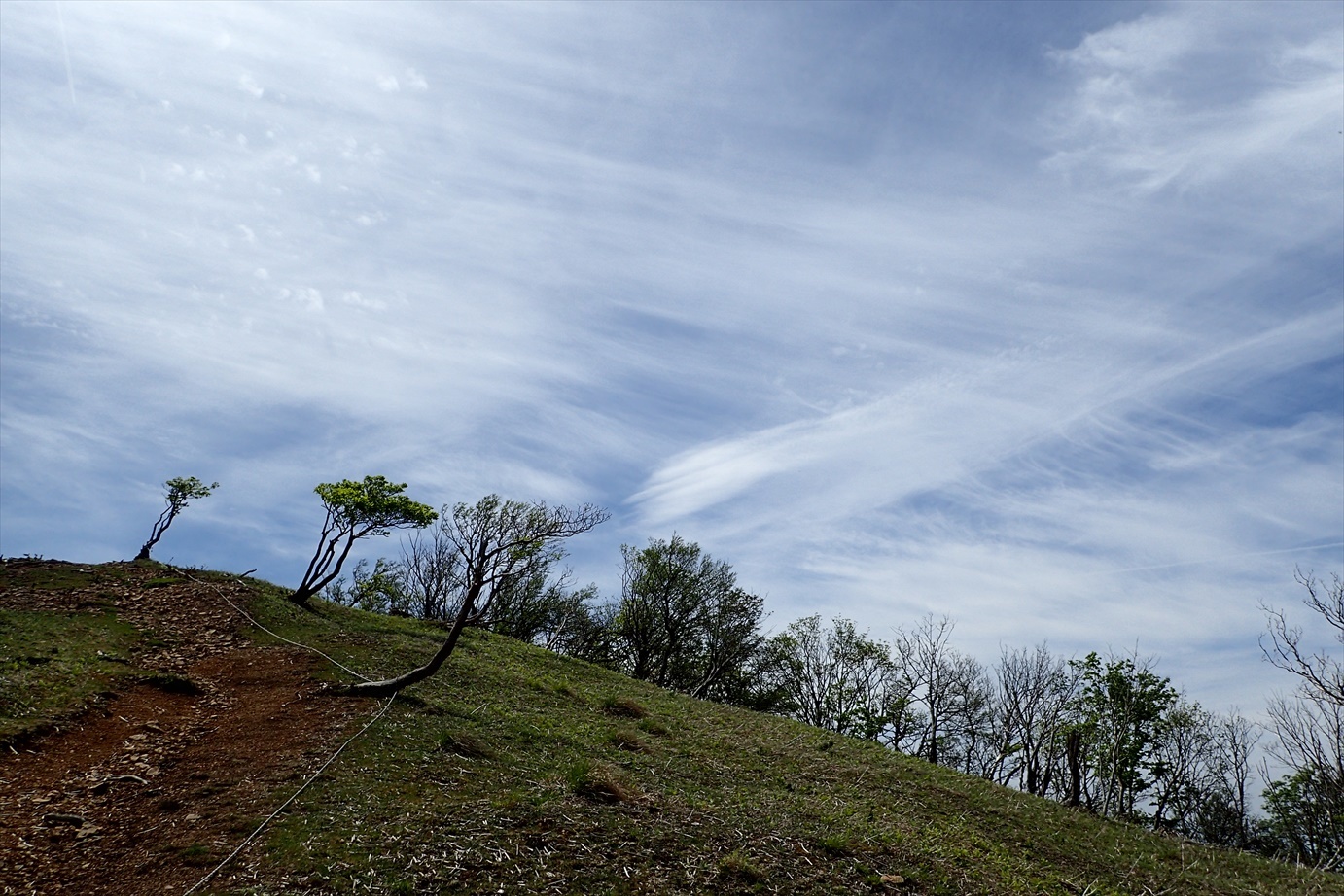 f0348933_23071020.jpg