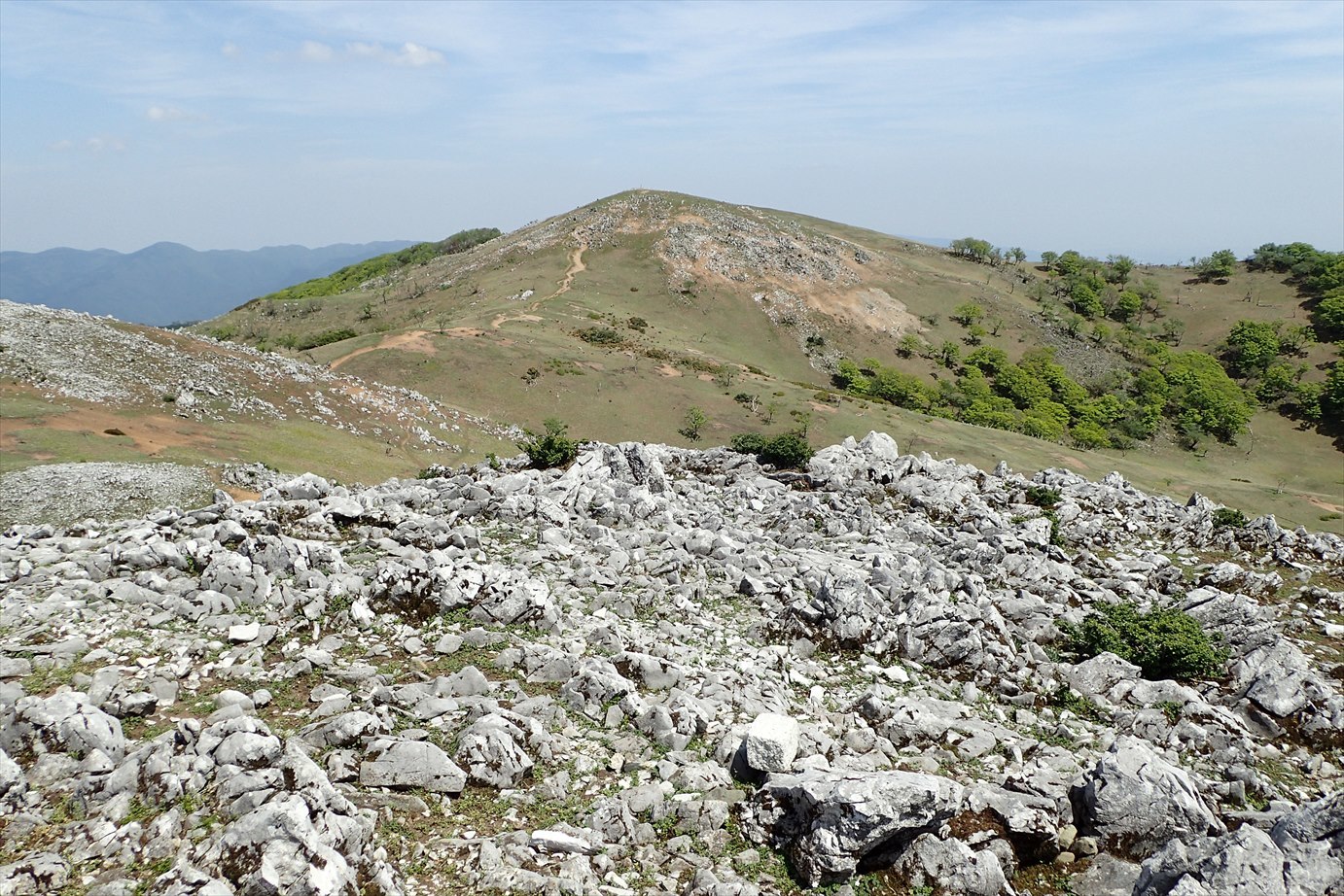 f0348933_23131507.jpg