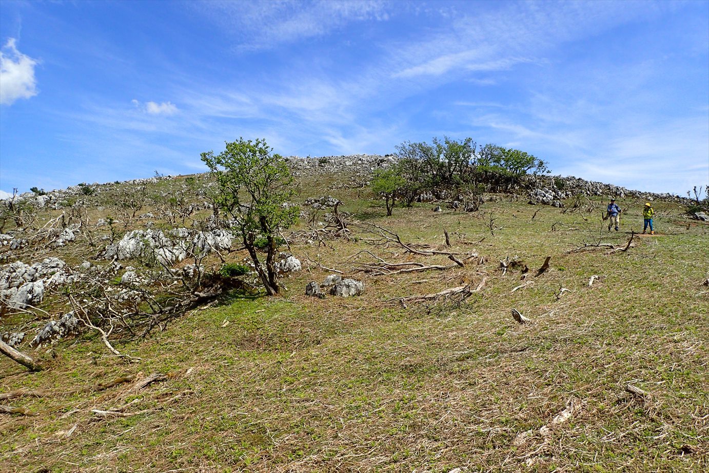 f0348933_23144061.jpg