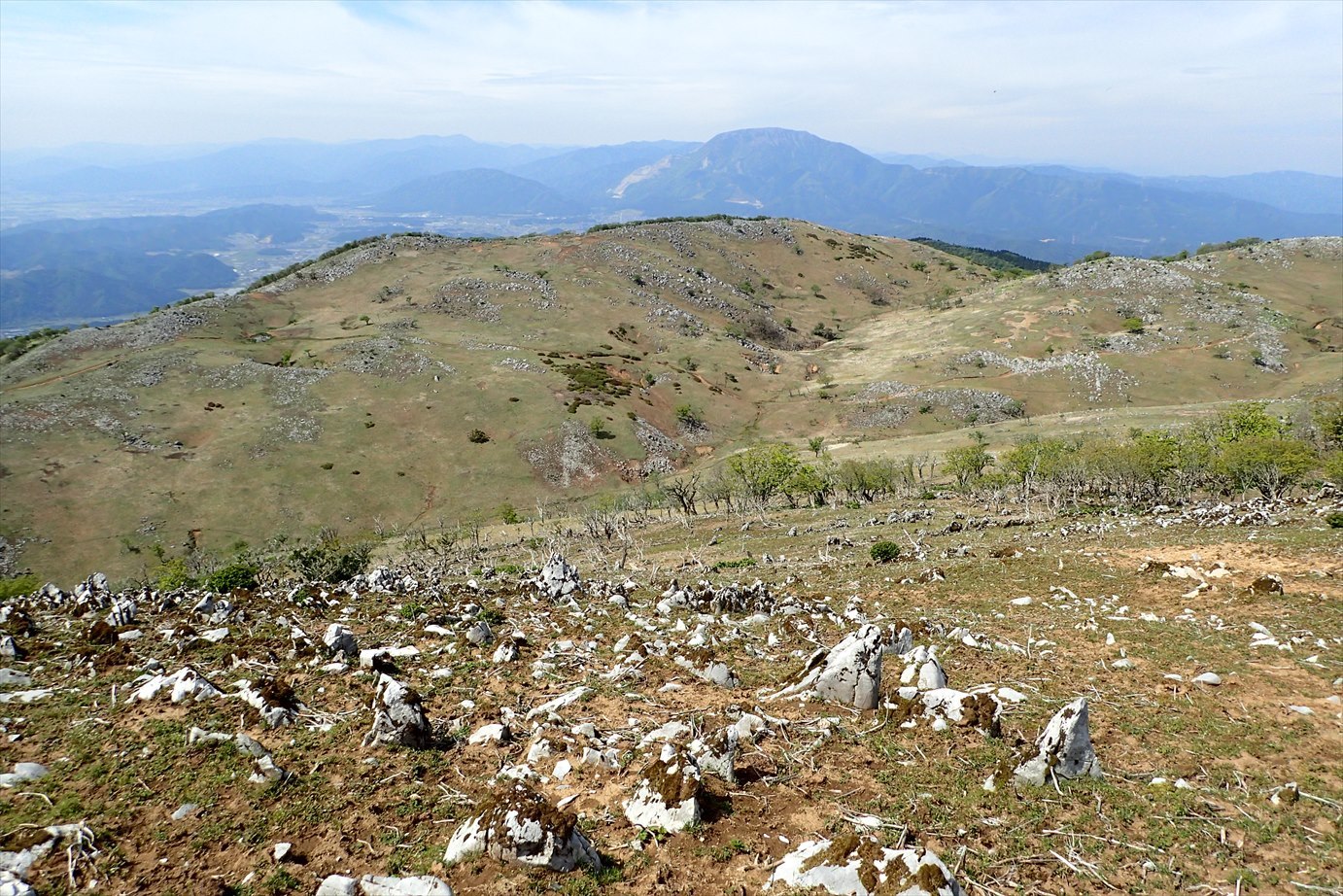 f0348933_23164247.jpg