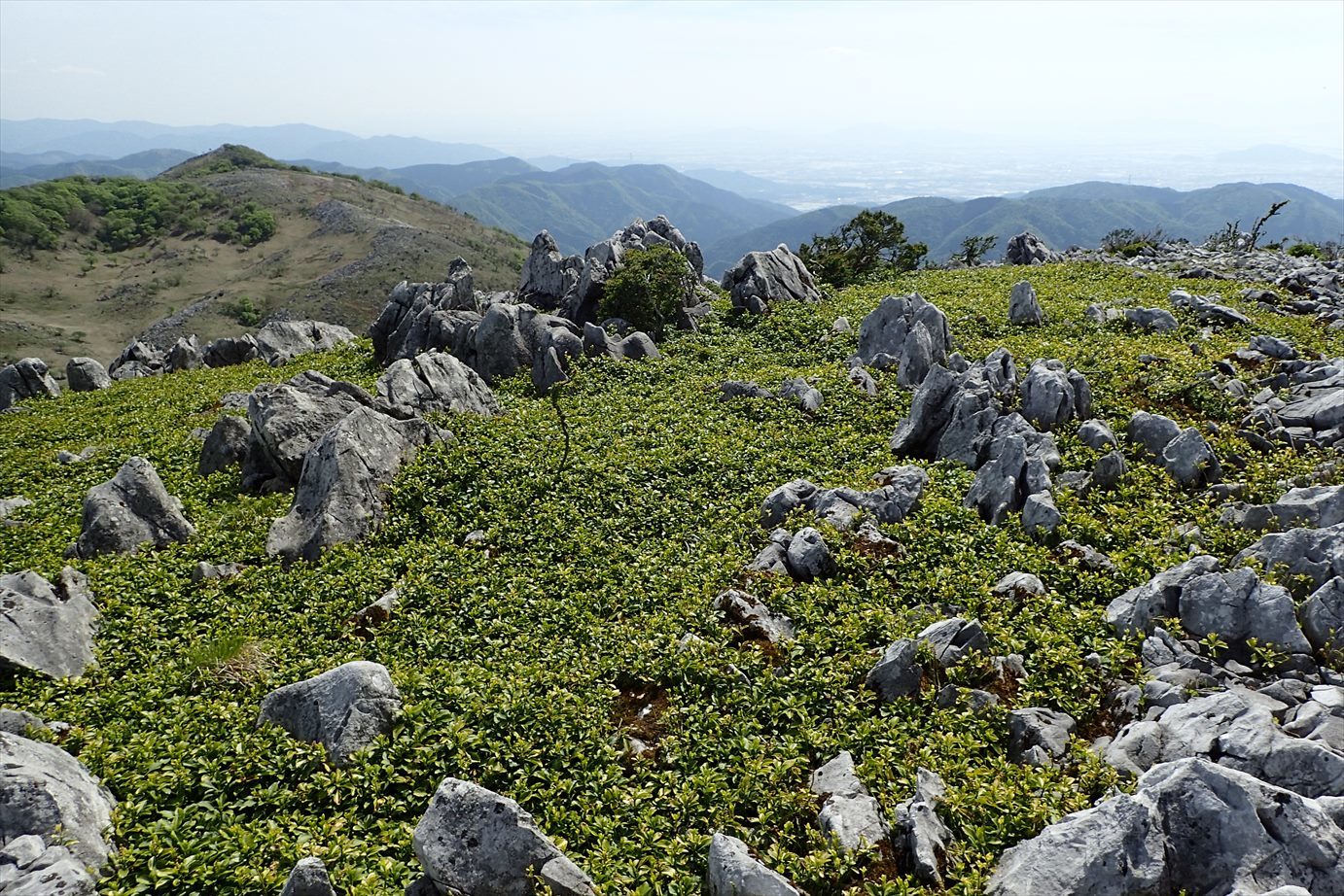f0348933_23170182.jpg