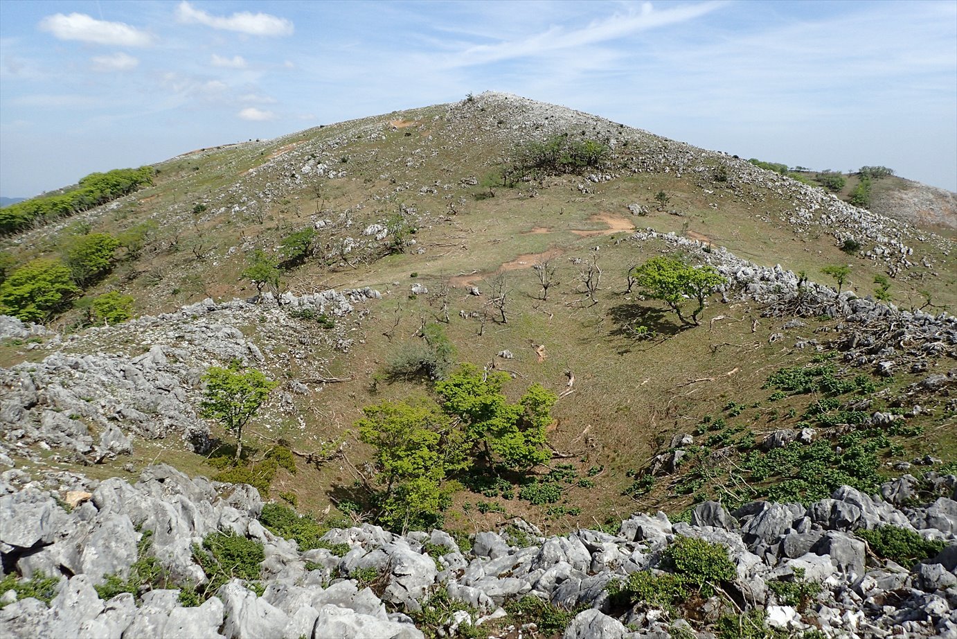 f0348933_23180468.jpg
