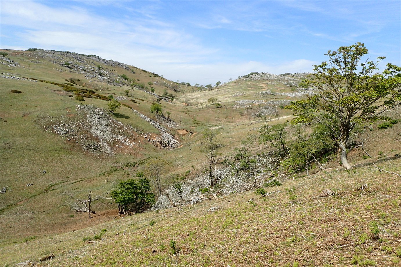 f0348933_23182804.jpg