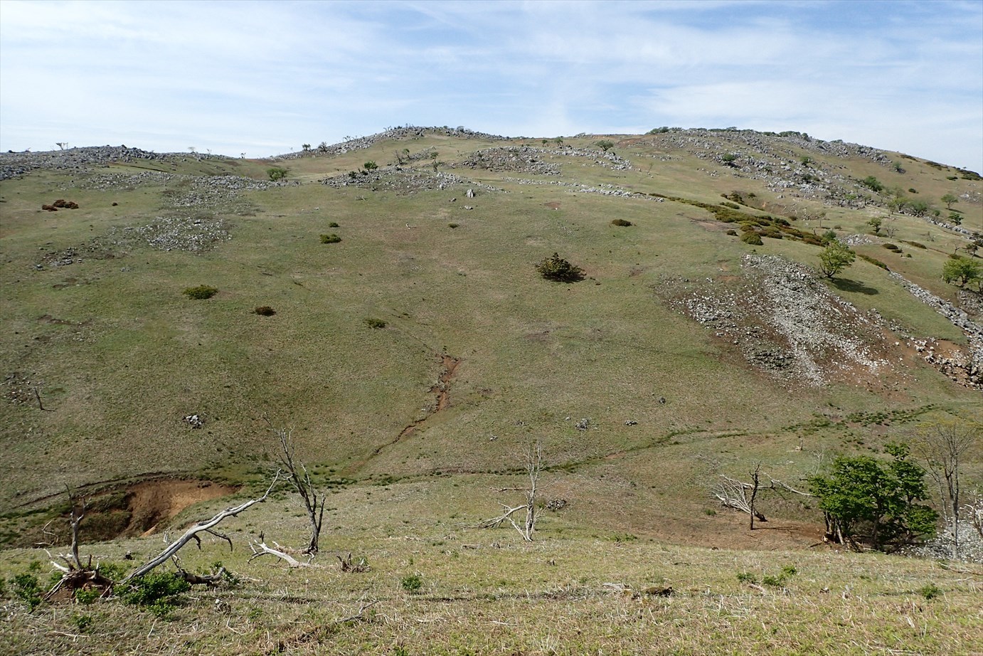 f0348933_23185774.jpg