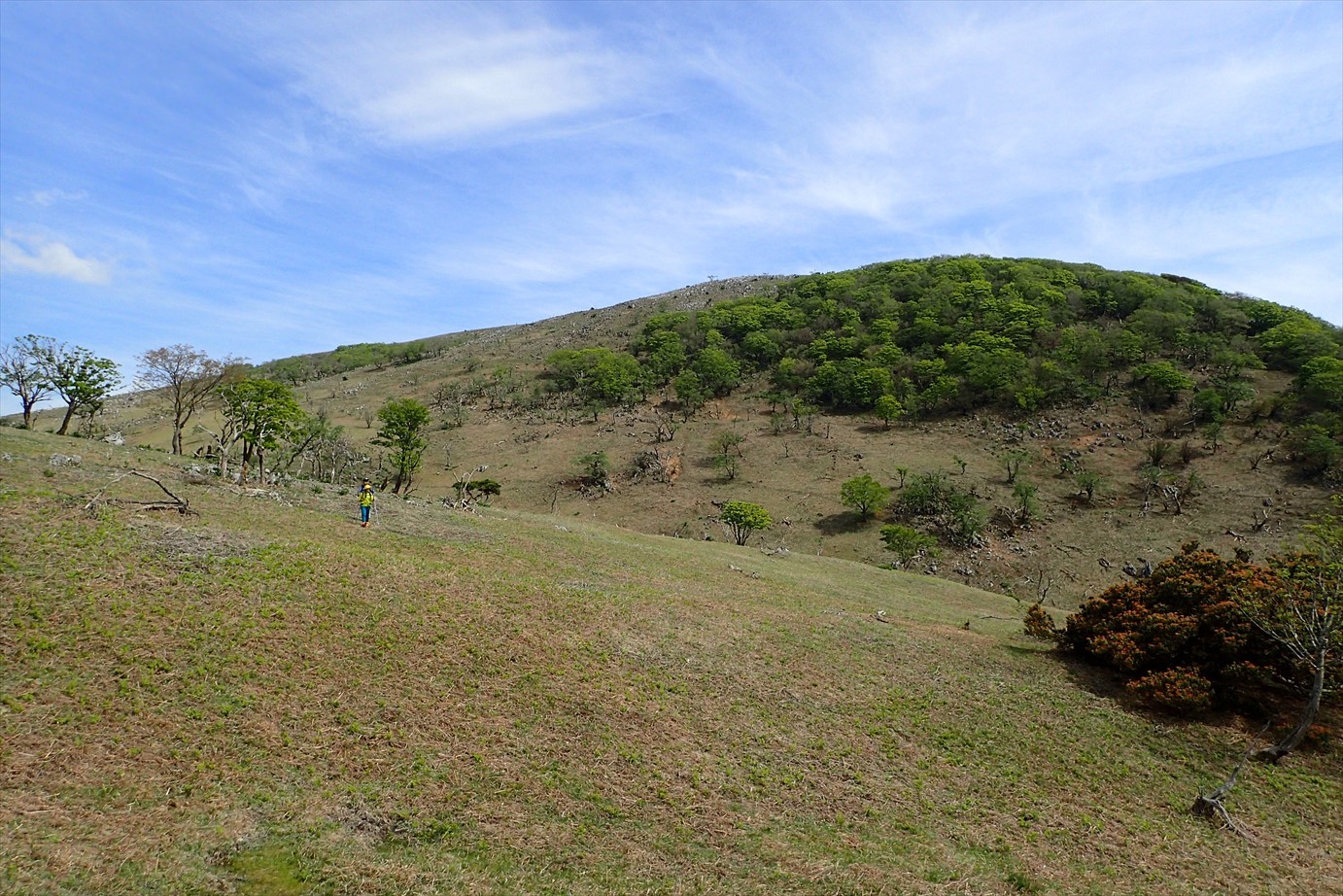 f0348933_23200035.jpg