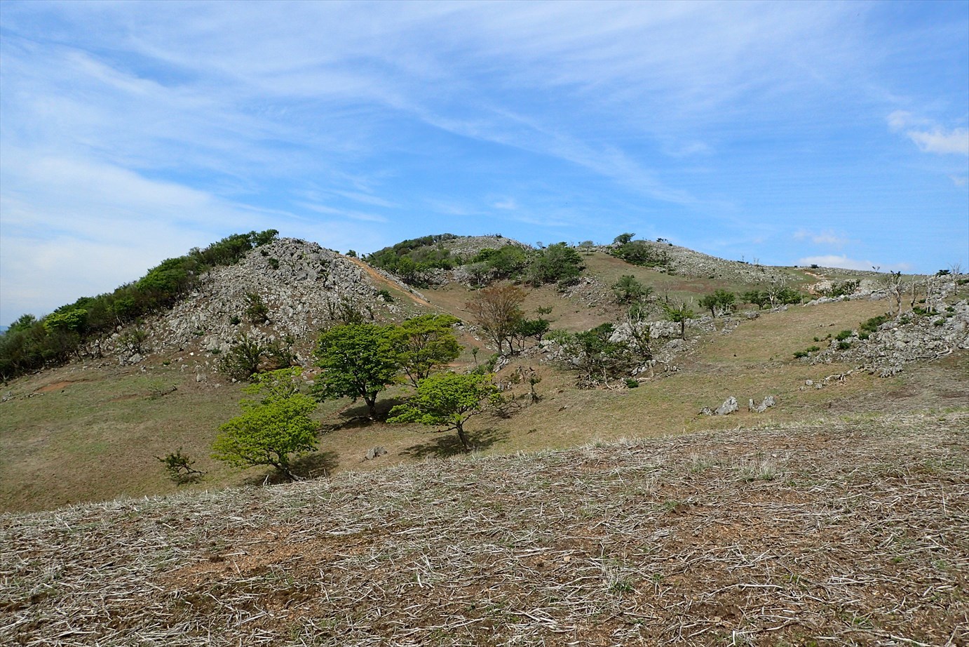 f0348933_23202901.jpg