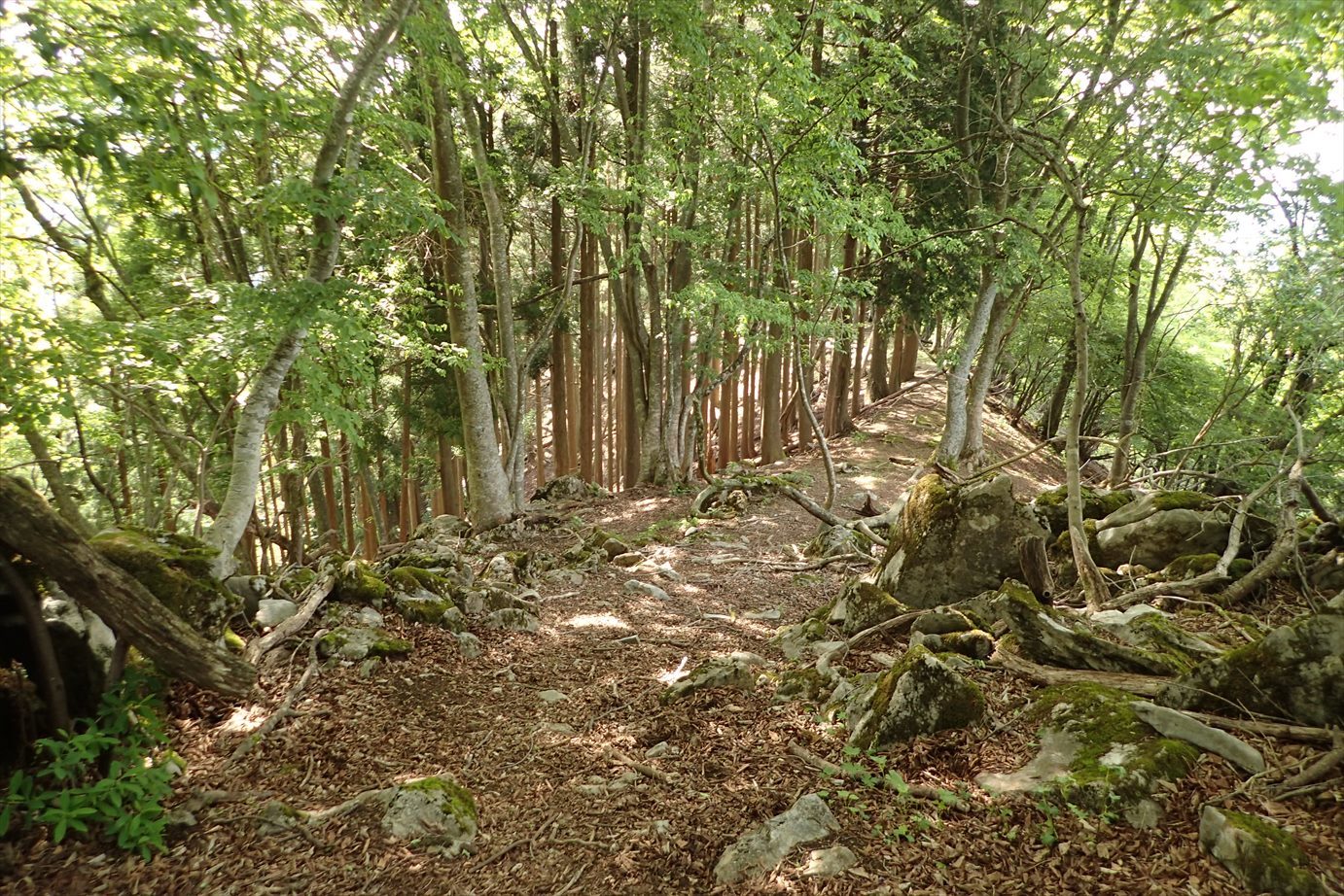 f0348933_23225976.jpg