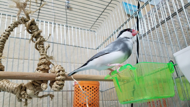 c0365734_21484800.jpg
