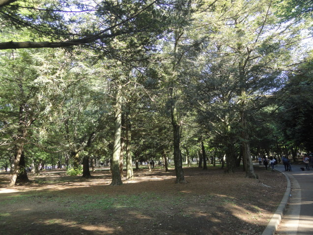 d0359338_16304095.jpg