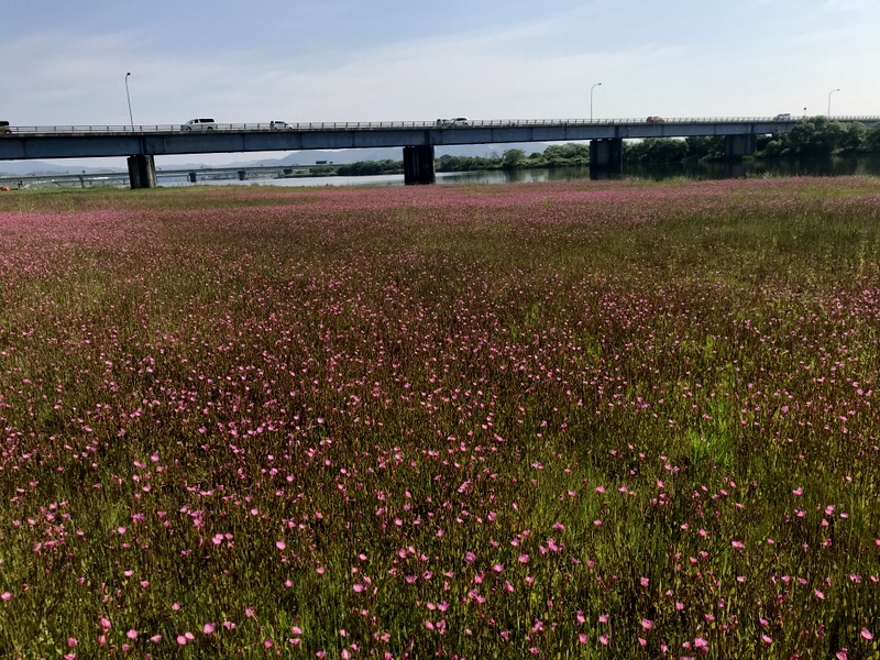 b0057140_17423285.jpg