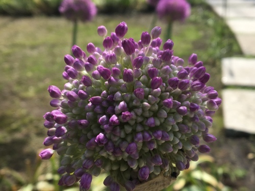 b0330040_12291114.jpeg
