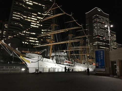 b0330040_15523710.jpeg